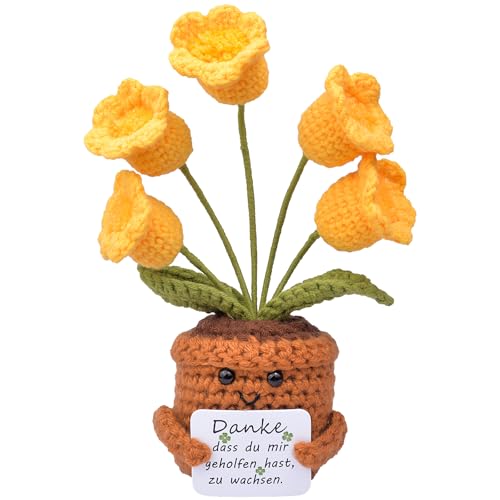 Mwmoeen Pocket Hug Positive Sonnenblume, Kreative Strickwolle Positive Kartoffel, Positive Sukkulente Positiver Kaktus Beste Freundin Geschenke für Freundin Kleine Geschenke für Frauen Mwmoeen Pocket Hug Positive Sonnenblume, Kreative Strickwolle Positive Kartoffel, Positive Sukkulente Positiver Kaktus Beste Freundin Geschenke für Freundin Kleine Geschenke für Frauen von Mwmoeen