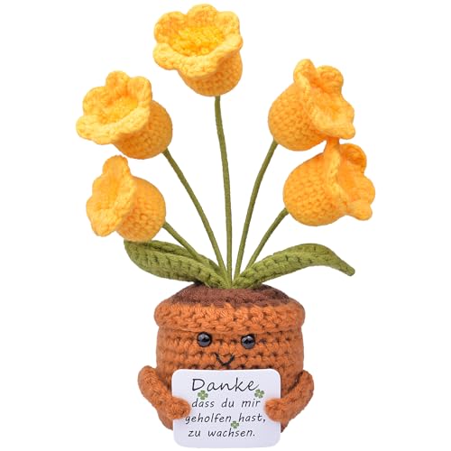 Mwmoeen Pocket Hug Positive Blume, Kreative Strickwolle Positive Sonnenblume, Positive Kartoffel Positiver Kaktus Beste Freundin Geschenke für Freundin Kleine Geschenke für Frauen von Mwmoeen