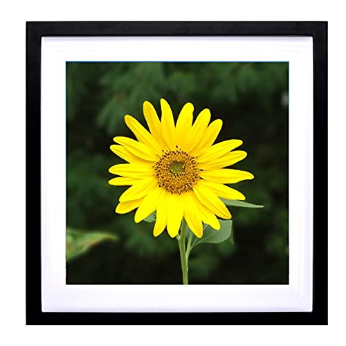 Mxtallup Diamant-Bilderrahmen, 30 x 30 cm mit Passepartout oder 35 x 35 cm ohne Passepartout, 30 x 35 cm ohne Passepartout, Bilderrahmen aus Holz, Schwarz (TK003) von Mxtallup