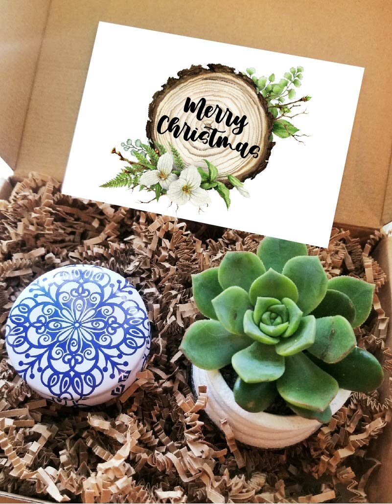 Weihnachtsgeschenkbox, Geschenk Versenden. Leben Sukkulenten, Urlaub Care Paket, Gefüllt Weihnachtsgeschenkset Für Sie, Geschenkkorb Weihnachtsgeschenkbox, Geschenk Versenden. Leben Sukkulenten, Urlaub Care Paket, Gefüllt Weihnachtsgeschenkset Für Sie, Geschenkkorb von MyWhys