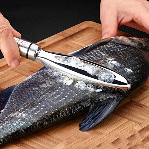 Fischschuppen-Entferner, Fischschuppen-Entkalker-Werkzeug, Fischschuppen-Schaber, Fischschuppen-Schäler, Fischschuppen-Bürste zum Schuppenschälen, Edelstahl-Fischschuppen-Reiniger, Küchenwerkzeuge von N+B