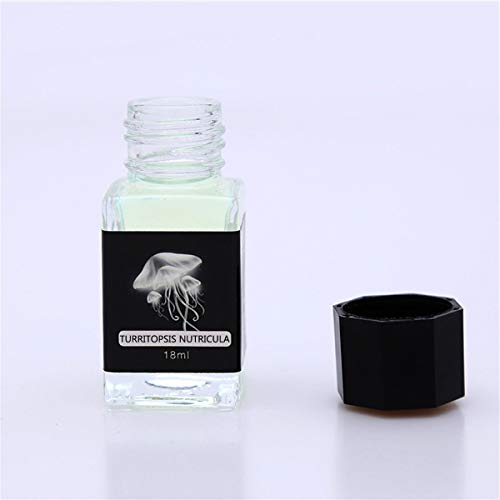 sweetWU 18 ml Nicht-Carbon Magische unsichtbare Tinte für Füllfederhalter Glas Dip Pen von N\A