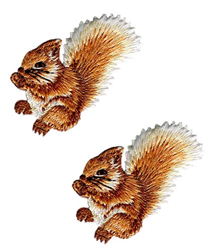 N / A Niedliche kleine Eichhörnchen zum Aufnähen/Aufbügeln, bestickt, für Männer, Jungen, Mädchen, 2 Stück von N / A