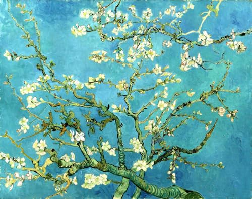Kreuzstich-Set Zum Selbermachen Mandelblüte, Ölgemälde Von Van Gogh Komplettes Sortiment An Vorgedruckten Startersets Für Anfänger Diy Stickbilder Vorgedruckt Kreuzstich Für Anfänger Home 40x50cm Kreuzstich-Set Zum Selbermachen Mandelblüte, Ölgemälde Von Van Gogh Komplettes Sortiment An Vorgedruckten Startersets Für Anfänger Diy Stickbilder Vorgedruckt Kreuzstich Für Anfänger Home 40x50cm von N.LANSHAN