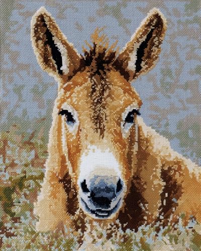 N.LANSHAN 11CT Diy Kreuzstich Set Esel-Tier-Cartoon Vorgedruckt Sticken Set Stamped Cross Stitch Pre-Printed Pattern Stickerei Diy Home Decoration 50x70cm N.LANSHAN 11CT Diy Kreuzstich Set Esel-Tier-Cartoon Vorgedruckt Sticken Set Stamped Cross Stitch Pre-Printed Pattern Stickerei Diy Home Decoration 50x70cm von N.LANSHAN