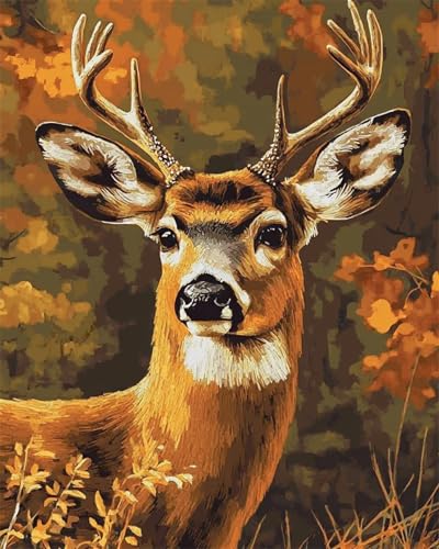 N.LANSHAN 11CT Diy Kreuzstich Set Vorgedruckt Hirsch Tierportrait Diy Starter Stickbild Erwachsene Anfanger Stickpackungen Kreuzstich Handwerk Geschenk 30x40cm N.LANSHAN 11CT Diy Kreuzstich Set Vorgedruckt Hirsch Tierportrait Diy Starter Stickbild Erwachsene Anfanger Stickpackungen Kreuzstich Handwerk Geschenk 30x40cm von N.LANSHAN
