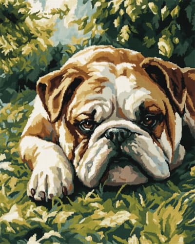 N.LANSHAN 11CT Diy Stickbilder Erwachsene Bulldogge Tier Haustier Kreuzstich Stickpackungen Vorgedruckt Erwachsene Anfänger Diy Stickpackung Set Sticken Kit 30x40cm von N.LANSHAN