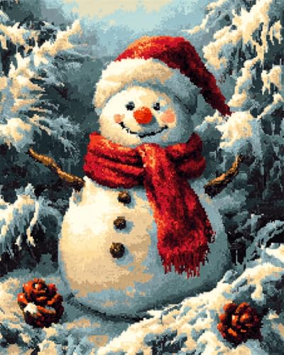 N.LANSHAN 11CT Diy Sticken Set Erwachsene Fantasy Schneemann-Cartoon-Figur Kreuzstich Stickpackungen Vorgedruckt,Stickerei Set Stickset Sticken Kit Erwachsene Anfänger 40x50cm von N.LANSHAN
