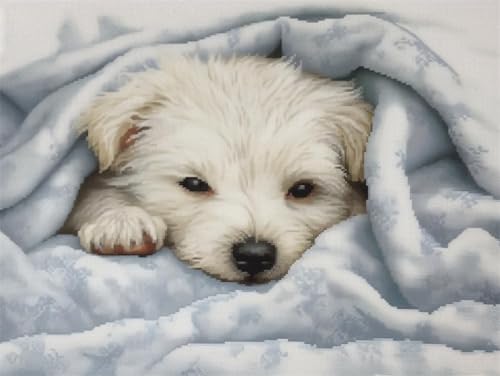 N.LANSHAN DIY Knüpfen Set Teppich Knüpfhaken-Set Mit Kleinem Weißen Hund Für Erwachsene，Süße Tiere，Knüpfhaken-Teppich-Set，Teppich-Verschlusshaken-Knüpfset Mit Vordruck，DIY 3D-Bastelgeschenk 55x75cm von N.LANSHAN