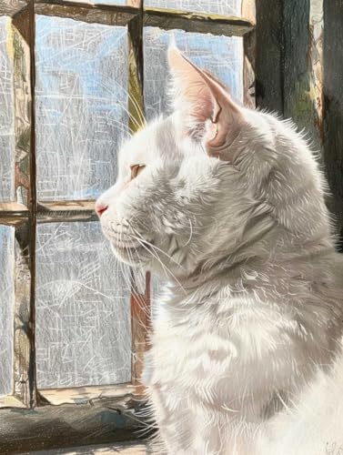 N.LANSHAN DIY Knüpfteppich Weiße Katze Tier Teppich-Sets Für Anfänger: Wandteppich-Set,Stickerei,Fußmatten,Fußmatte,Geschenk 60x90cm N.LANSHAN DIY Knüpfteppich Weiße Katze Tier Teppich-Sets Für Anfänger: Wandteppich-Set,Stickerei,Fußmatten,Fußmatte,Geschenk 60x90cm von N.LANSHAN