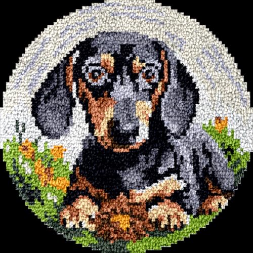 N.LANSHAN Diy Knüpfteppich Zum Selber Knüpfen Runder Teppich,Diy-Bastelset,Dackeltier,Diy-Knüpfteppich-Set,Häkelset Für Anfänger,Teppich-Set Mit Bedruckter Leinwand,Geschenk 23x23in N.LANSHAN Diy Knüpfteppich Zum Selber Knüpfen Runder Teppich,Diy-Bastelset,Dackeltier,Diy-Knüpfteppich-Set,Häkelset Für Anfänger,Teppich-Set Mit Bedruckter Leinwand,Geschenk 23x23in von N.LANSHAN