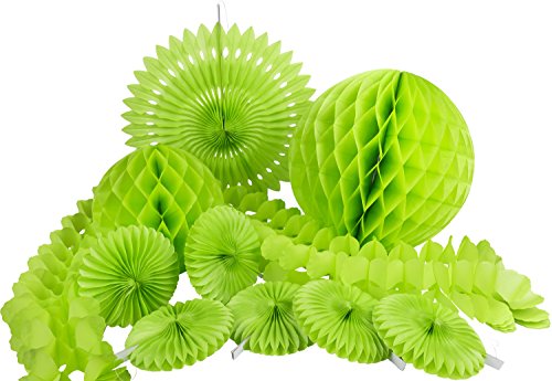 HEKU Party-Deko-Set mit Wabenbällen, Dekofächern und einer Girlande aus Papier, 10-teilig, grün, HEKU Party-Deko-Set mit Wabenbällen, Dekofächern und einer Girlande aus Papier, 10-teilig, grün, von Heku