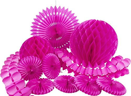 Heku 30008-01: Party-Deko-Set mit Wabenbällen, Dekofächern und Einer Girlande aus Papier, 10-teilig, pink von N