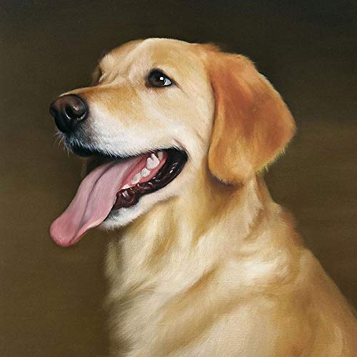 NAEGV Diamant-Malsets, DIY 5D-Diamant-Malset, Labrador, süße Tiere, Malen nach Zahlen, Diamant, Diamant-Malerei, Kunsthandwerk für die Wanddekoration zu Hause 50x60CM NAEGV Diamant-Malsets, DIY 5D-Diamant-Malset, Labrador, süße Tiere, Malen nach Zahlen, Diamant, Diamant-Malerei, Kunsthandwerk für die Wanddekoration zu Hause 50x60CM von NAEGV
