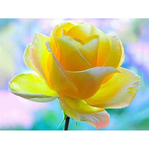 NAEGV Diamant Painting Diamant Malerei Kits Für Erwachsene Und Kinder Schöne Gelbe Blumen 5D Runder Voller Bohrer Diy Diamond Art 40x50CM NAEGV Diamant Painting Diamant Malerei Kits Für Erwachsene Und Kinder Schöne Gelbe Blumen 5D Runder Voller Bohrer Diy Diamond Art 40x50CM von NAEGV
