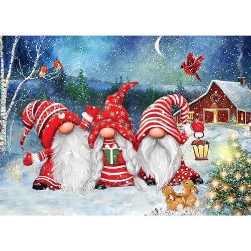 NAIMOER Diamond Painting Gnomes, Diamant Painting Erwachsene Diamond Painting Weihnachten Erwachsene Bilder Winter Diamant Painting Kinder 5D Diamant Malerei Stickerei für Home Décor(30x40cm) von NAIMOER