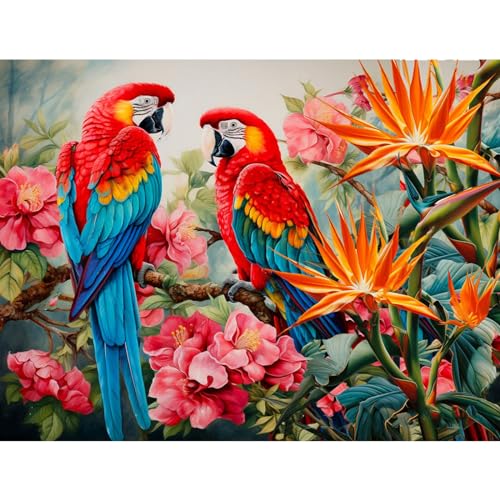 NAIMOER Diamond Painting Vögel, Diamant Painting Erwachsene Papageien Diamond Painting Erwachsene Bilder Tiere Diamant Painting Kinder 5D Diamant Malerei Stickerei für Home Décor(30x40cm) von NAIMOER