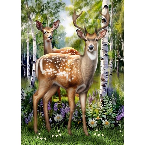 NAIMOER Diamond Painting Wald Erwachsene, 5D Diamant Painting Hirsch Bilder Anfänger, Full Strass Stickerei Diamond Kunst für Home Wand Décor 30x40cm NAIMOER Diamond Painting Wald Erwachsene, 5D Diamant Painting Hirsch Bilder Anfänger, Full Strass Stickerei Diamond Kunst für Home Wand Décor 30x40cm von NAIMOER