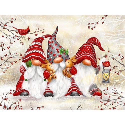 NAIMOER Gnome Diamond Painting Kits für Erwachsene Kinder, 5D Diamant Painting Kardinal Bilder Erwachsene, Diamond Painting Wald Bilder Kinder Cross Stickerei Malerei Set für Home Dekor 30x40cm von NAIMOER