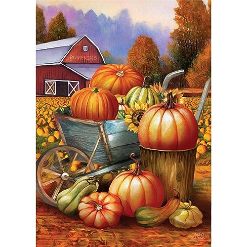 NAIMOER Herbst Diamond Painting Kürbis Erwachsene, 5D Kürbis Diamant Painting Bilder Erwachsene, DIY Kürbis Landschaft Diamond Painting Bilder Diamant Malerei Kinder Set für Home Dekor 30x40cm von NAIMOER