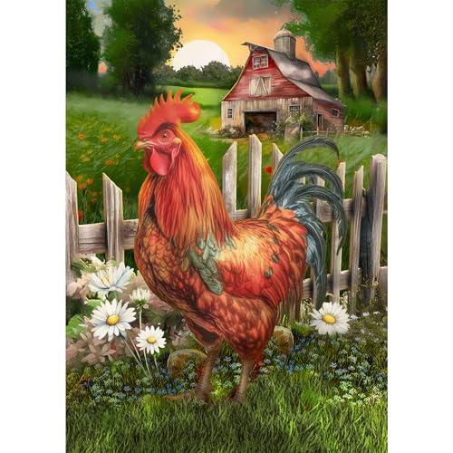 NAIMOER Hühner Diamond Painting Erwachsene, 5D Diamant Painting Tiere Bilder Anfänger, Diamond Painting Bauernhöfe DIY Diamant Malerei für Home Wand Décor 30x40cm NAIMOER Hühner Diamond Painting Erwachsene, 5D Diamant Painting Tiere Bilder Anfänger, Diamond Painting Bauernhöfe DIY Diamant Malerei für Home Wand Décor 30x40cm von NAIMOER