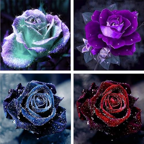 NAIMOER 4Pack Rosen Diamond Painting Erwachsene, 5D Diamant Painting Blumen Bilder, Diamond Painting Set Erwachsene Blumen Diamond Painting Kinder 5D Diamant Malerei für Home Wand Décor 30x30cm von NAIMOER
