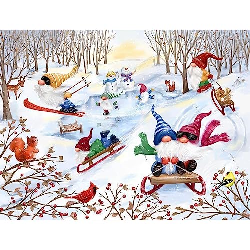 NAIMOER Ski Gnomes Diamond Painting Kits für Erwachsene Kinder, 5D Diamant Painting Weihnachten Bilder Erwachsene, Diamond Painting Weihnachten Bilder Kinder Malerei Set für Home Dekor 30x40cm von NAIMOER