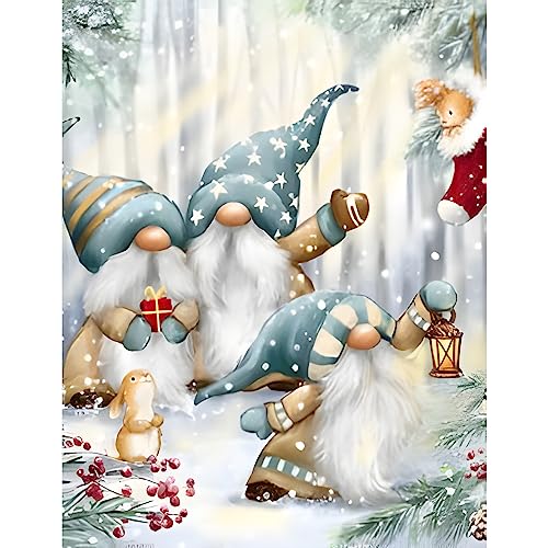 NAIMOER Weihnachten Diamond Painting Kits für Erwachsene Kinder, 5D Diamant Painting Gnomes Bilder Erwachsene, Diamond Painting Weihnachten Bilder Kinder Malerei Set für Home Dekor 30x40cm von NAIMOER