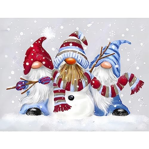 NAIMOER Winter Gnomes Diamond Painting Kits für Erwachsene Kinder, 5D Diamant Painting Weihnachten Bilder Erwachsene, Diamond Painting Weihnachten Bilder Kinder Malerei Set für Home Dekor 30x40cm von NAIMOER