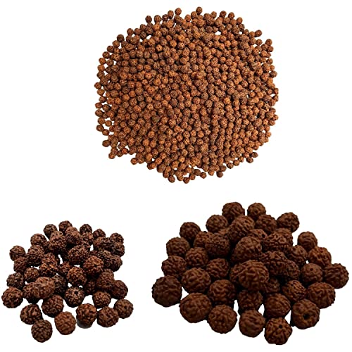 Naisha Natürliche Rudraksh lose Rudraksha-Mala, echte Himalaya-Meditations-Gebetsperlen, 8–14 mm, Bodhi-Perlen für Schmuckherstellung, DIY, 3 verschiedene Größen, 121 Stück von NAISHA