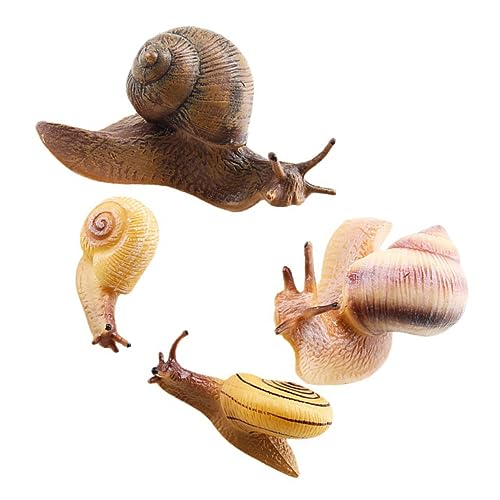 NAMOARLY 4 Stück Schnecken Ornament Kognitive Dekorationen Ornamente Für Kuchendekoration Tiere Blumentopf Ornament Tiere Modelle Für Die Bildung Tiere Lernspielzeug PVC von NAMOARLY