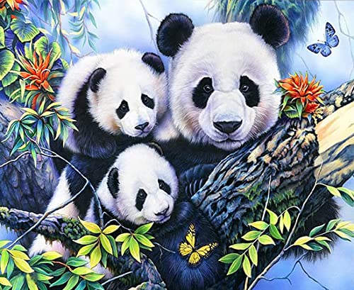 NANASUGUR Malen Nach Zahlen, Malen Nach Zahlen für Erwachsene Anfänger Kinder, Zuhause Wanddekoration Rahmenlos 40X50CM Pandas von NANASUGUR