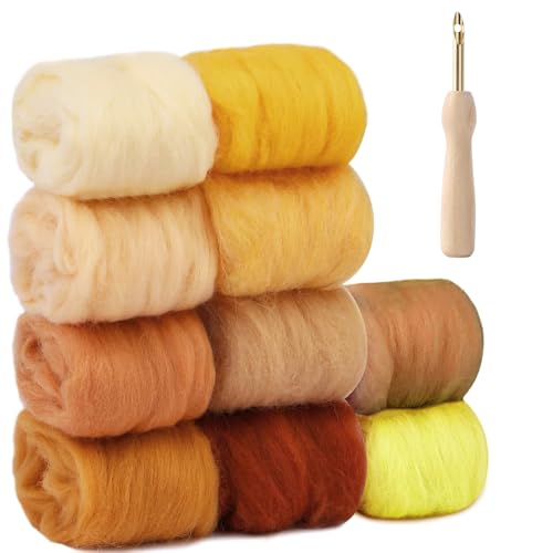 NAROSEBE 10 Farben Nadelfilz Set, Nadelfilz Wolle, Nadel Filz Wolle Kit mit Filznadeln, Filzwolle Set je 10 g, Filzwolle Nassfilzen Nadelfilzen Set für Filzwollen Trockenfilzen DIY Handwerk von NAROSEBE