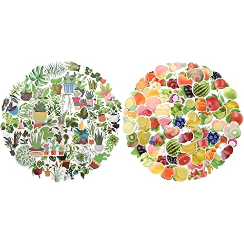 NATONDI Früchte & Blumen Sticker Set für Kinder & Erwachsene (100 Stück) - Coole & lustige Vinyl Sticker für Jungen & Mädchen - wasserfeste Aufkleber für Laptop, Notebook, Tagebuch, Journal & Brotbox von NATONDI