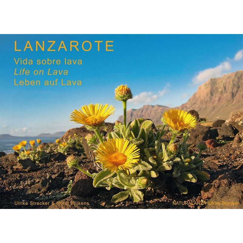 Lanzarote - Leben Auf Lava - Ulrike Strecker, Horst Wilkens, Gebunden von NATURALANZA