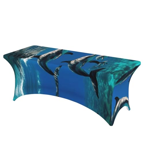 NBAGHPQ Rechteckige Tischdecke mit lustigem Delfin-Druck, Funktionalität und Stil, Tischdecke, abwischbar von NBAGHPQ
