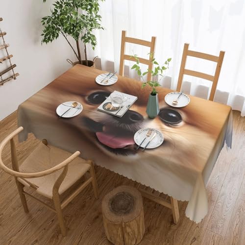 NBSKSDLK Süße Tischdecke mit Zwergspitz, rechteckig, wasserdicht, schmutzabweisend, knitterfrei, dekorativ, wiederverwendbar, Polyester-Tischdecken für Hochzeit, Party, Bankett, 137 x 183 cm NBSKSDLK Süße Tischdecke mit Zwergspitz, rechteckig, wasserdicht, schmutzabweisend, knitterfrei, dekorativ, wiederverwendbar, Polyester-Tischdecken für Hochzeit, Party, Bankett, 137 x 183 cm von NBSKSDLK