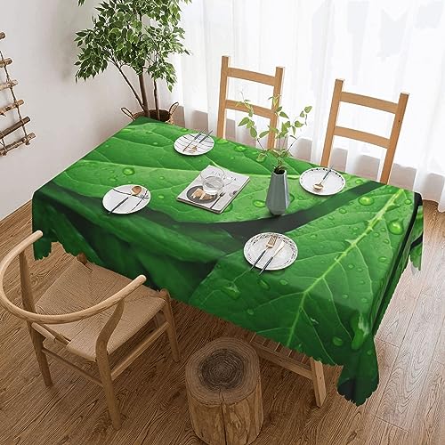NBSKSDLK Tischdecke, rechteckig, wasserdicht, schmutzabweisend, knitterfrei, dekorativ, wiederverwendbar, Polyester-Tischdecken für Hochzeit, Party, Bankett, 137 x 183 cm, Grün NBSKSDLK Tischdecke, rechteckig, wasserdicht, schmutzabweisend, knitterfrei, dekorativ, wiederverwendbar, Polyester-Tischdecken für Hochzeit, Party, Bankett, 137 x 183 cm, Grün von NBSKSDLK