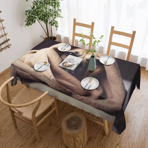 NBSKSDLK Tischdecke mit Hund in einer Decke, rechteckig, wasserdicht, schmutzabweisend, knitterfrei, dekorativ, wiederverwendbar, Polyester-Tischdecken für Hochzeit, Party, Bankett, 137 x 183 cm NBSKSDLK Tischdecke mit Hund in einer Decke, rechteckig, wasserdicht, schmutzabweisend, knitterfrei, dekorativ, wiederverwendbar, Polyester-Tischdecken für Hochzeit, Party, Bankett, 137 x 183 cm von NBSKSDLK