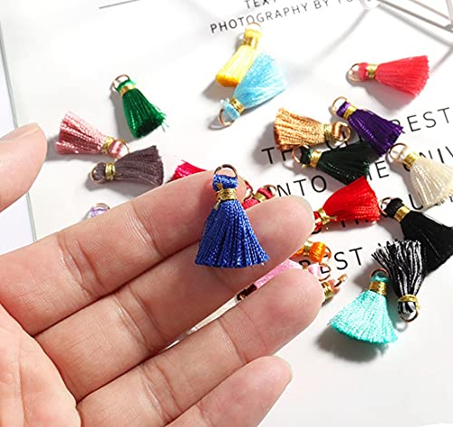 NC 50Pcs 2 cm Mini Quaste Charms Bunte Polycotton Quaste Anhänger mit Eisenzubehör und Metallkordel Multi-Colors Mini Tiny Handmade Craft Quasten Charms von NC