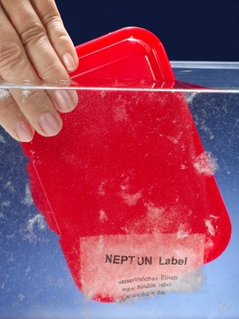 NEPTUN Label 4200, wasserlösliches Etikett, 48,3 mm x 16,5 mm von NEPTUN