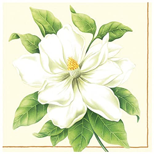 Premium Collection by Jean 20 Stück Servietten Sommerblumen Hibiskus Blüte Blumen Premium Collection by Jean 20 Stück Servietten Sommerblumen Hibiskus Blüte Blumen von NEU