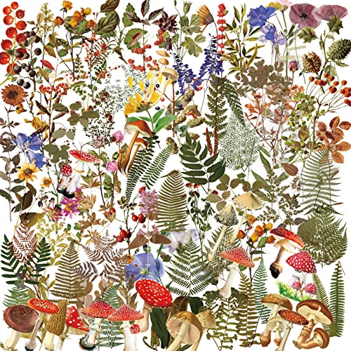 200 Stück PET Transparente dekorative Aufkleber, Vintage Pflanzen Blumen Sticker, 9 Naturthemen Pflanzen Aufkleber für Sammelalbum DIY Fotoalben Basteln Tagebuch Briefumschläge 200 Stück PET Transparente dekorative Aufkleber, Vintage Pflanzen Blumen Sticker, 9 Naturthemen Pflanzen Aufkleber für Sammelalbum DIY Fotoalben Basteln Tagebuch Briefumschläge von NEULEBEN