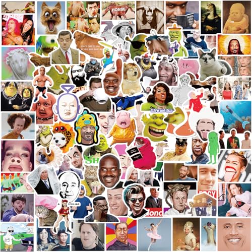 Funny Meme Sticker, 200 Stück Classic Meme Aufkleber, Vinyl Wasserdicht Interessant Scrapbook Skateboard Auto Aufkleber für Jugendliche Erwachsene von NEULEBEN