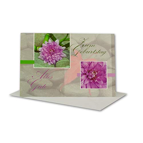 Geburtstagskarten Set 50 Stück mit Umschlag Weiß DIN B6 - Motiv Rosa Blume & Steine - Zum Geburtstag Alles Gute - Glückwunschkarte Geburtstag Klappkarte von NEUSER PAPIER