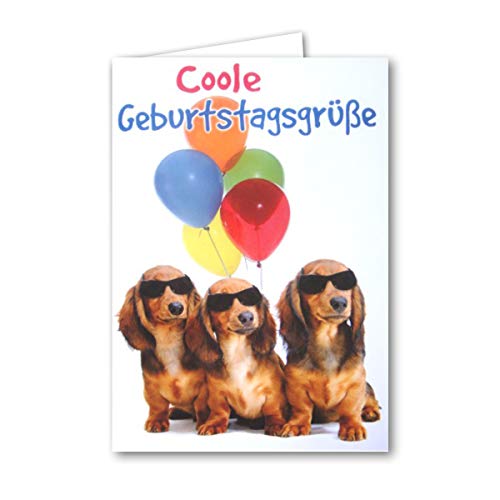 XXL Geburtstagskarte DIN A4 Motiv Dackel (Hund) mit Ballons inklusive Umschlag in Weiß - 29,7 x 21 cm - Klappkarte mit viel Platz zum Beschreiben von NEUSER PAPIER