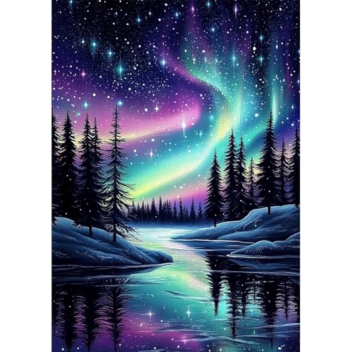 NEWENMO 5D Aurora Nachtszene Diamond Painting Full Drill,Diamant Painting Bilder Erwachsene 30x40cm,Diamant Malerei Erwachsene Set,Diamond-Painting Set,für Schlafzimmer,House Wall,Büro Dekoration von NEWENMO