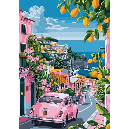 NEWENMO 5D Rosa Auto Diamond Painting Bilder Erwachsene,Italienische Küstenstadt Diamant Painting Bastelset,Blumen Diamant Malerei Kit,Diamond Painting Set,für Anfänger Dekoration Zuhause-30x40cm NEWENMO 5D Rosa Auto Diamond Painting Bilder Erwachsene,Italienische Küstenstadt Diamant Painting Bastelset,Blumen Diamant Malerei Kit,Diamond Painting Set,für Anfänger Dekoration Zuhause-30x40cm von NEWENMO