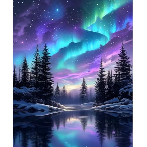 NEWENMO DIY Nordlichter Malen Nach Zahlen Erwachsene,Waldansicht Paint by Numbers,Malen Nach Zahlen Kits,DIY Handgemalt Ölgemälde Set mit Pinseln und Acrylfarben,für Anfänger Home Decor 40x50cm von NEWENMO