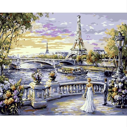 NEWENMO Eiffelturm Malen Nach Zahlen Kit,Landschaft von Paris Paint by Numbers,Malen Nach Zahlen Erwachsene Set,Einfaches DIY Handgemalt Ölgemälde,mit Pinseln und Acrylfarbe,für Home Decor 40x50cm von NEWENMO